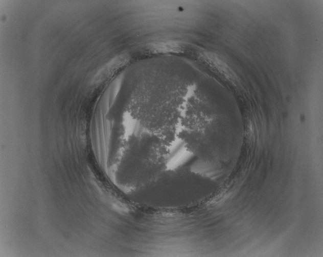 X0000077390402200611032006