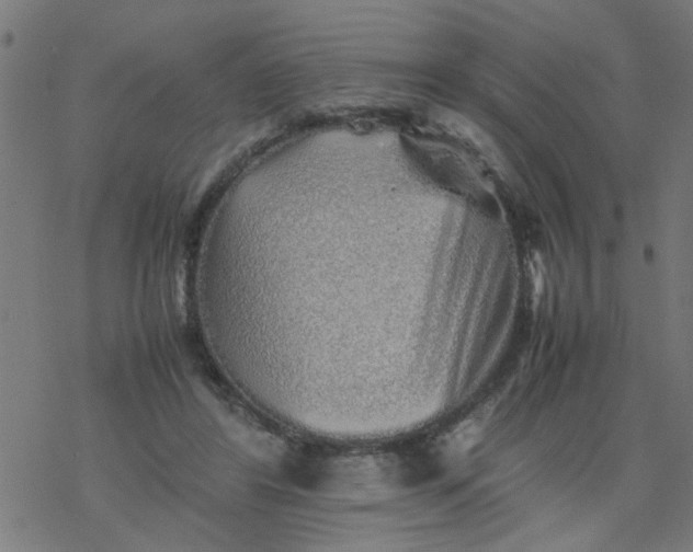 X0000077390404200611032006