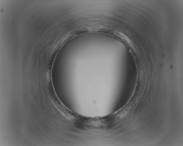 X0000077390405200611032006