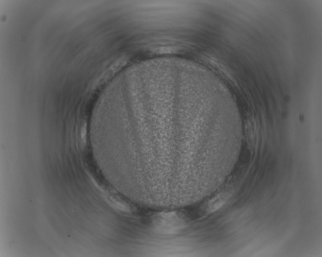 X0000077390406200611032006