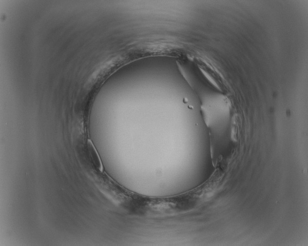 X0000077390407200611032006