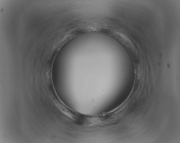 X0000077390409200611032006