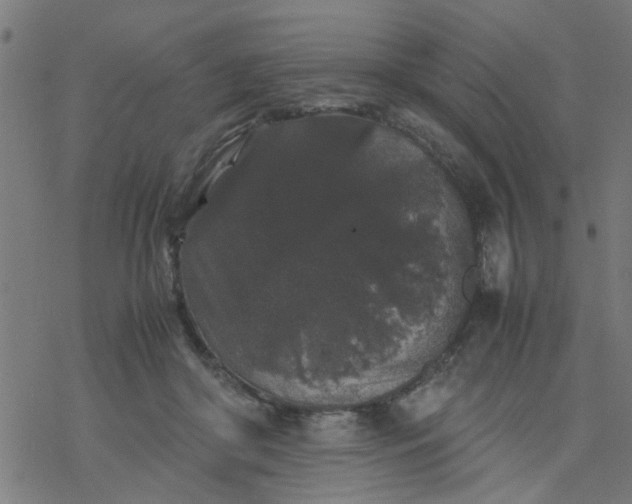 X0000077390410200611032006