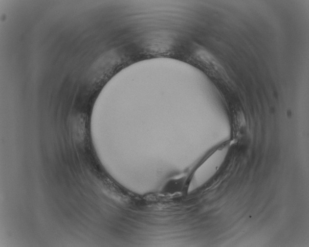 X0000077390412200611032006