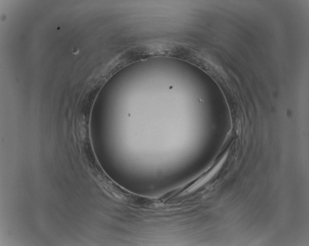 X0000077390413200611032006