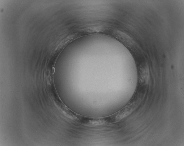 X0000077390414200611032006