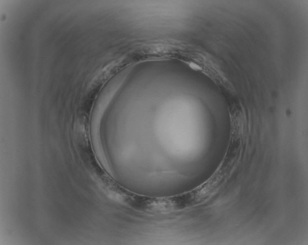 X0000077390415200611032006