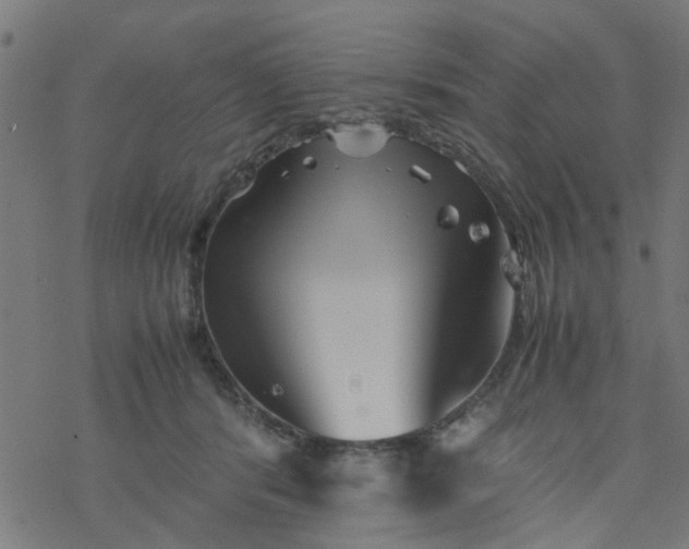 X0000077390416200611032006