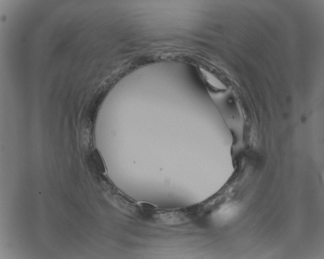 X0000077390417200611032006