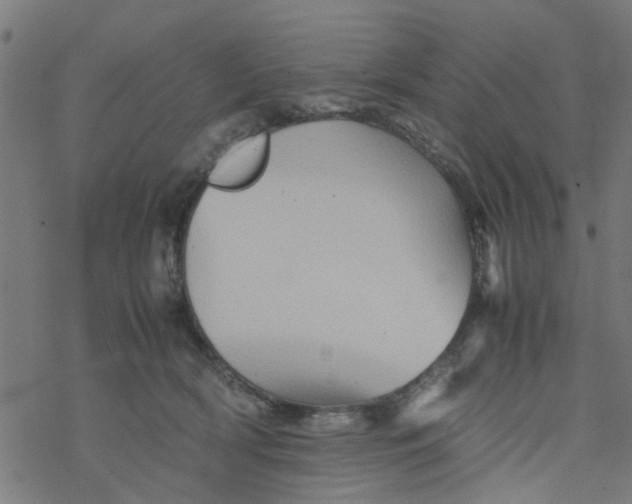 X0000077390418200611032006