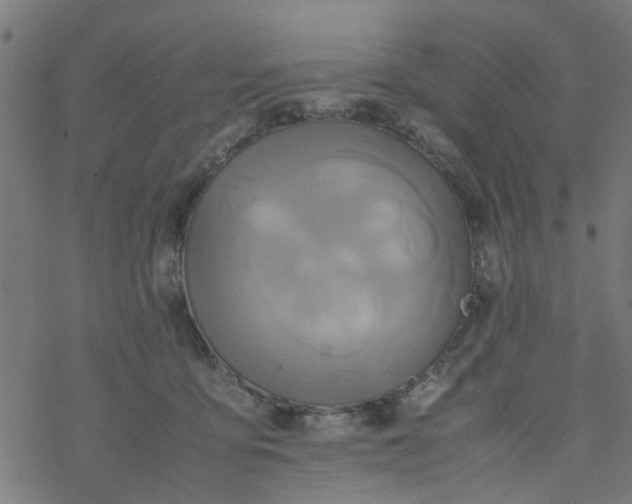 X0000077390419200611032006