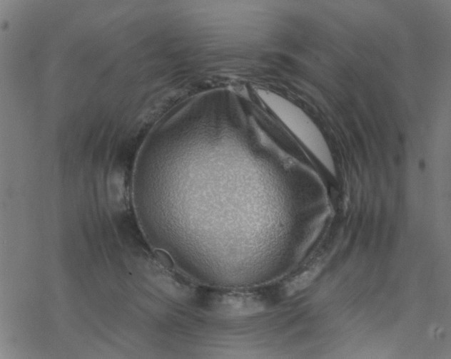 X0000077390420200611032006