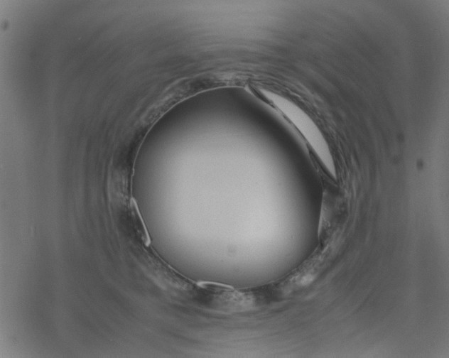 X0000077390421200611032006