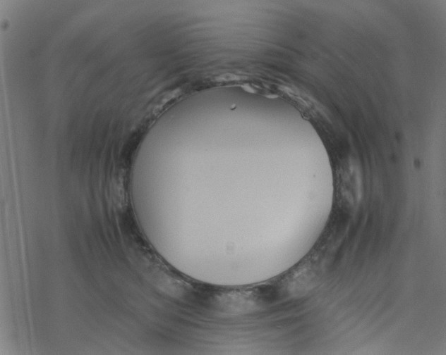 X0000077390422200611032006