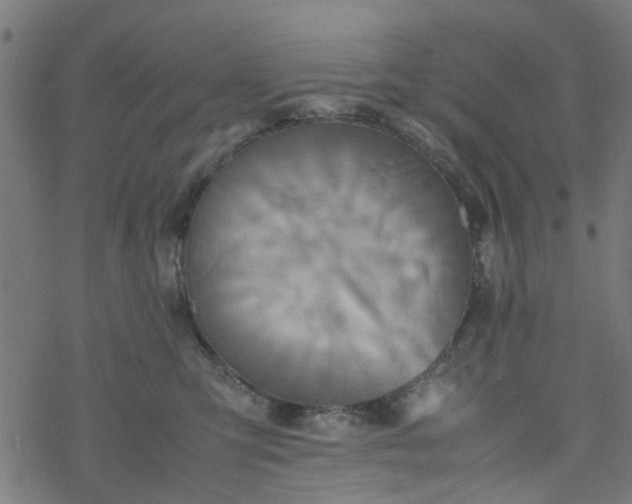 X0000077390423200611032006