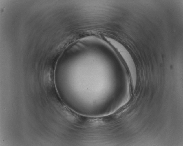 X0000077390424200611032006