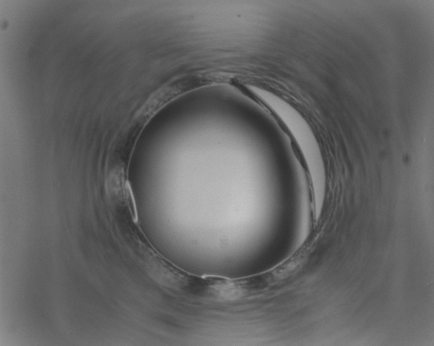 X0000077390425200611032006