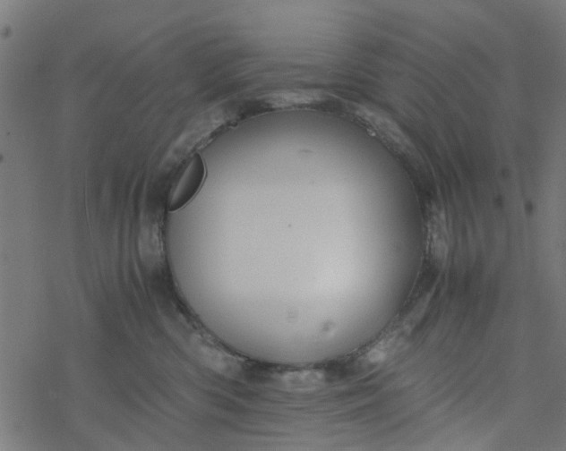 X0000077390426200611032006