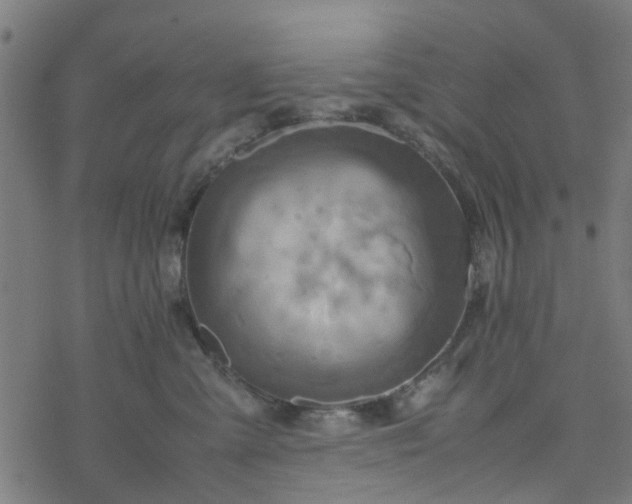 X0000077390427200611032006