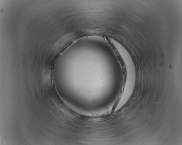 X0000077390428200611032006