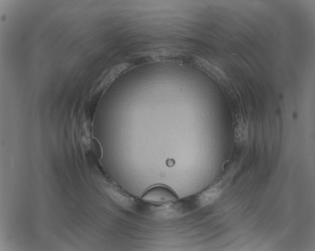 X0000077390430200611032006