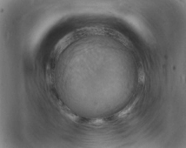 X0000077390431200611032006