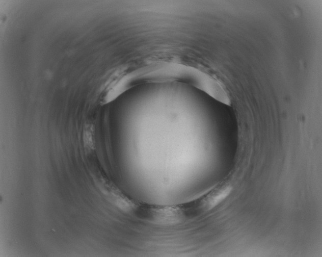 X0000077390432200611032006