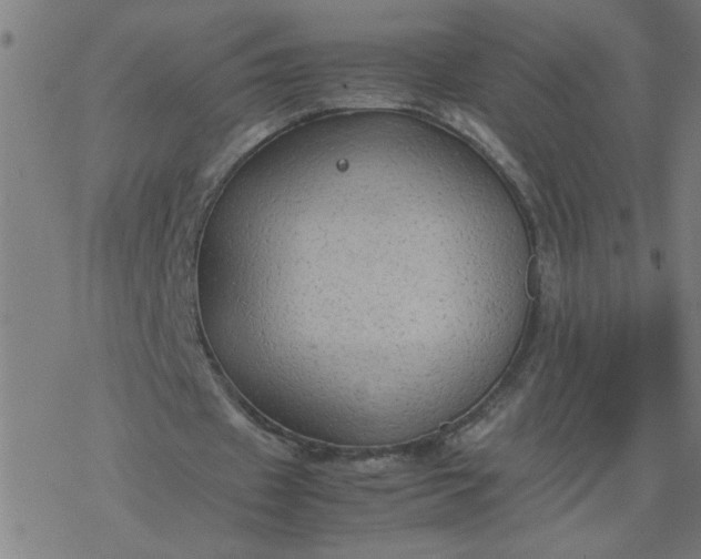 X0000077390433200611032005