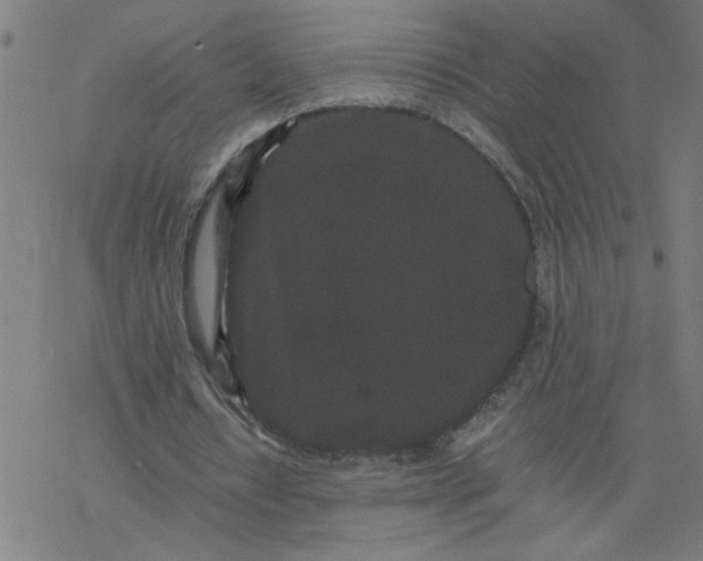 X0000077390434200611032005