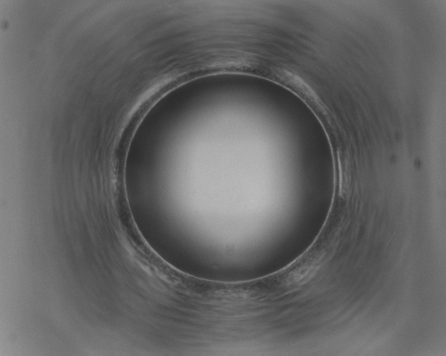 X0000077390435200611032005