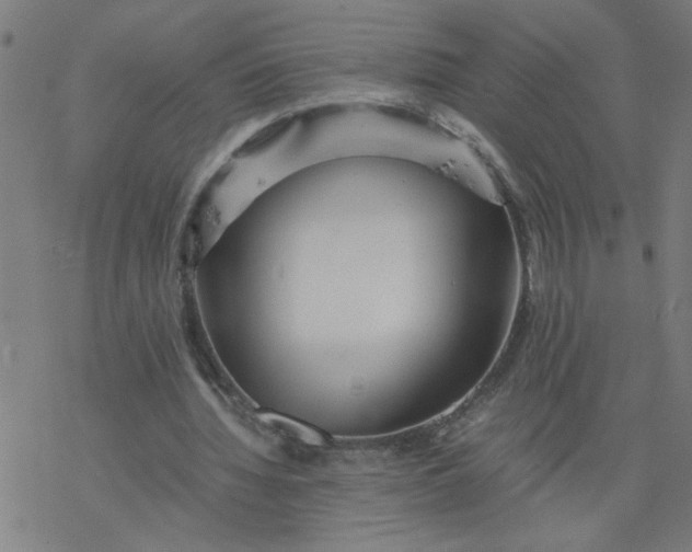 X0000077390436200611032005