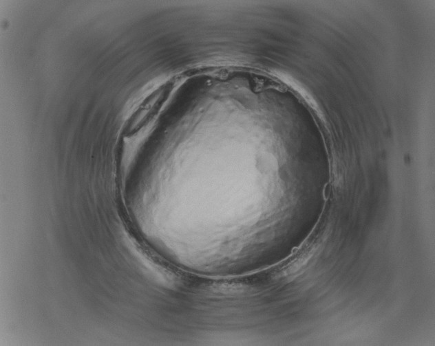 X0000077390437200611032005