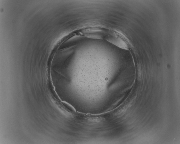 X0000077390439200611032005