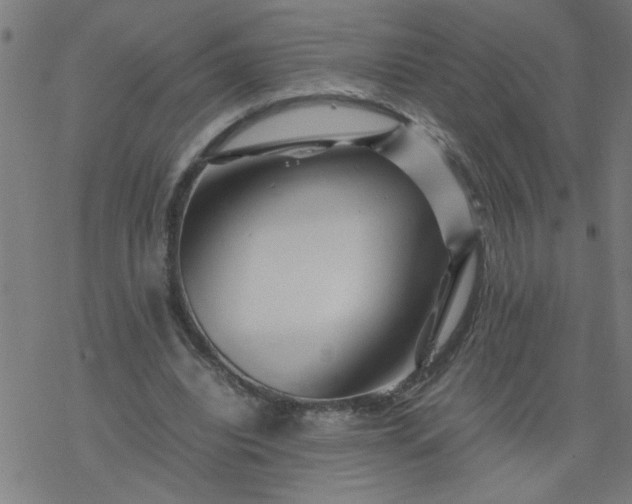 X0000077390440200611032005