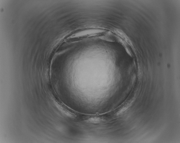 X0000077390441200611032005