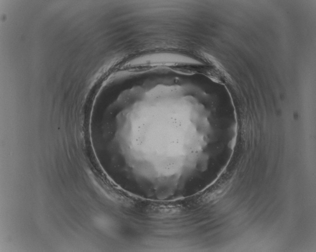 X0000077390443200611032005