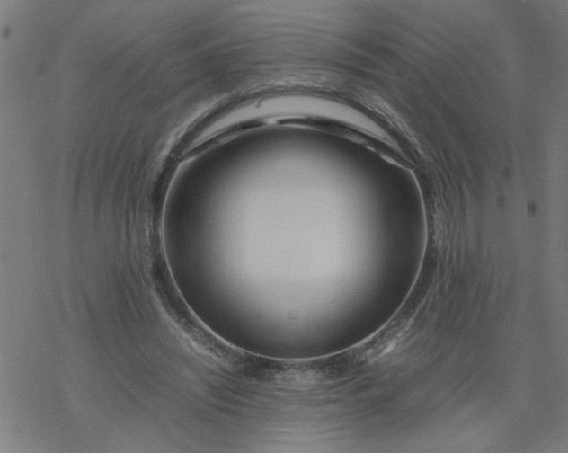 X0000077390444200611032005