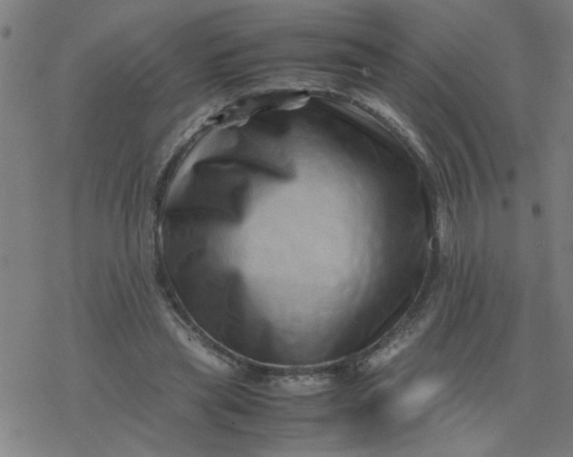 X0000077390445200611032005