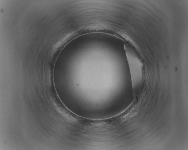 X0000077390446200611032005