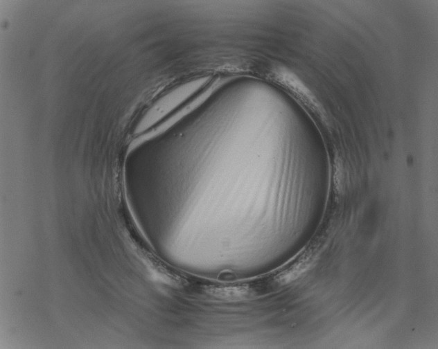 X0000077390449200611032005