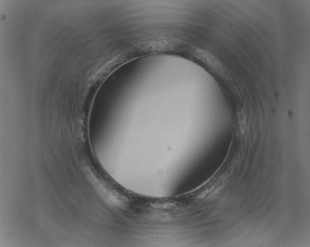 X0000077390450200611032005