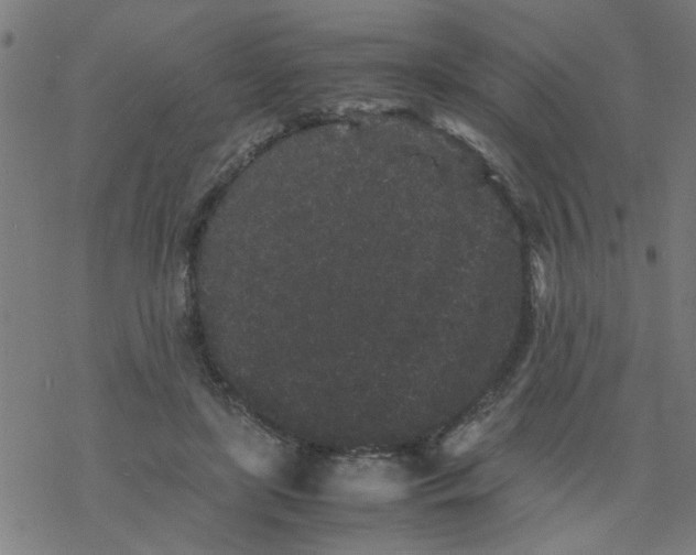 X0000077390451200611032006