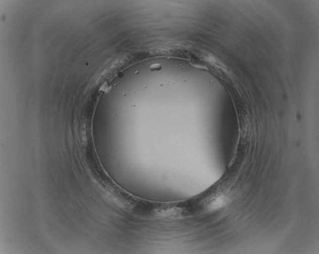 X0000077390452200611032006