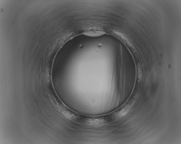 X0000077390453200611032006