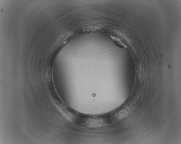 X0000077390455200611032006