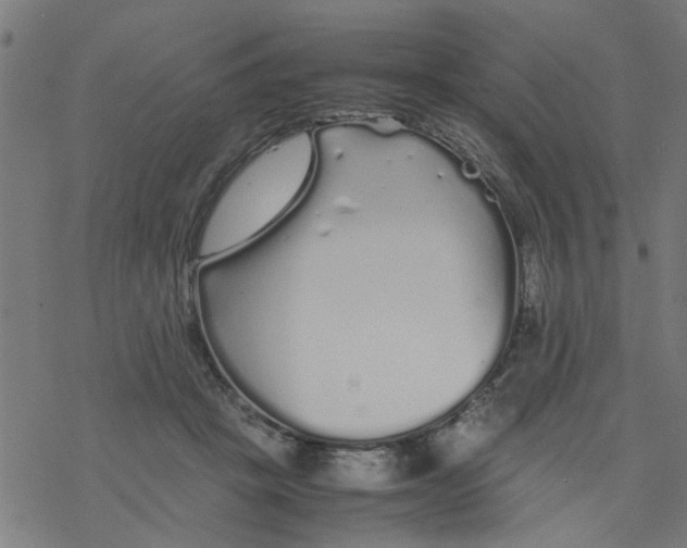 X0000077390457200611032006