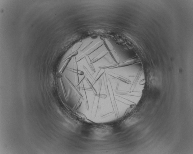 X0000077390459200611032006