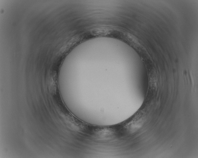 X0000077390460200611032006