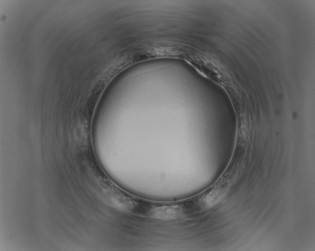 X0000077390461200611032006