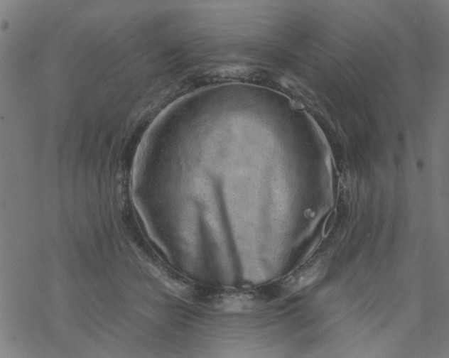 X0000077390462200611032006